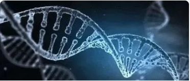 基於SaaS的（de）iLabPower研（yán）發創新數字化平台助力生物醫學發展