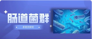 腸道菌群調節免疫應答影響腫瘤進展