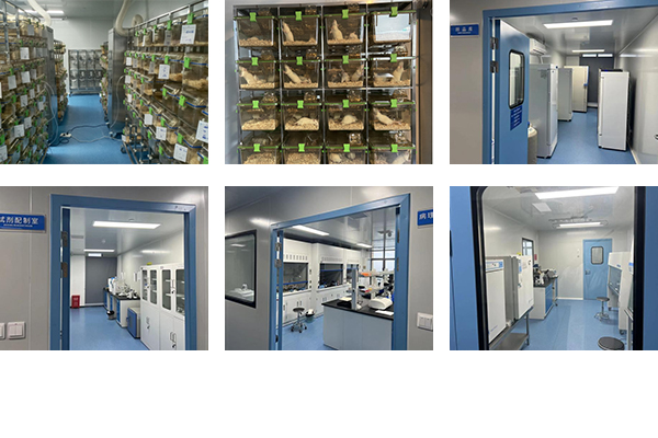 規範化試驗場地